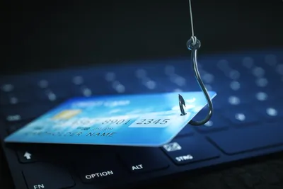 Phishing and Cybercrime Growth